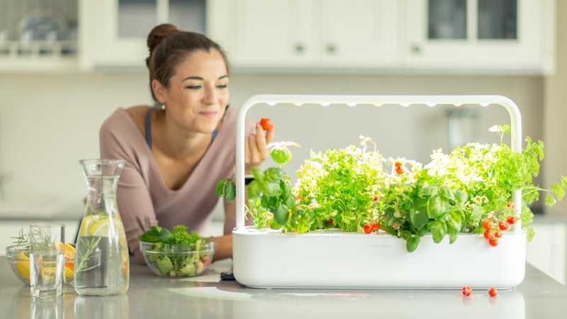 Click and Grow Smart Garden Mini Tomato Plant Pods, 3-Pack - Image 3