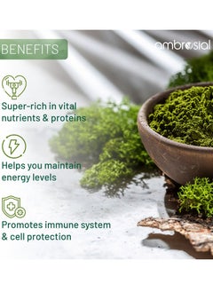 ambrosial Spirulina Capsules Highly Dosed- 500 Mg- 60 Veg Capsules  - Image 4