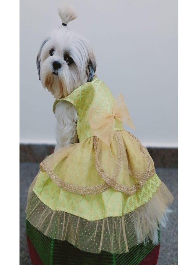 Lulala Traditional Dog Dress for Small, Medium & Large Dogs - Light Green & Golden Ethnic Outfit with Bow | Festive Pet Costume for Weddings & Parties - Image 1