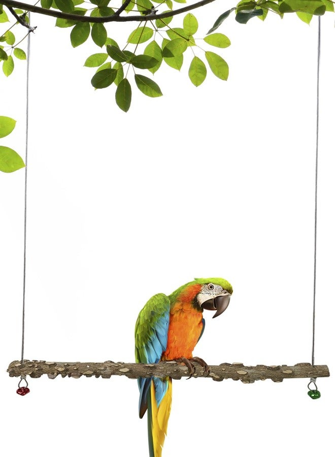 FlidRunest Bird Parrot Swing Toy, Natural Pepper Wood Bird Perch Stand, Hanging Bird Window Ceiling Swing Perch for Parrot Parakeet Conure Cockatiel Small Birds - Image 2