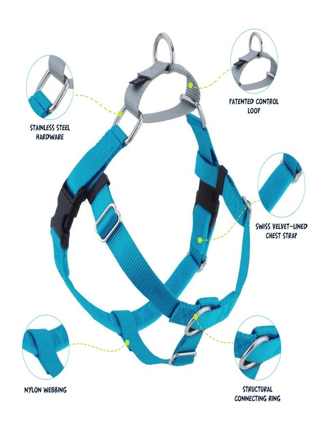 2 Hounds Design Freedom No Pull Dog Harness, Adjustable Harness and Leash Set, Easy Walking & Comfortable Control, Fits Small, Medium & Large Dogs, Solid Colors, Made in USA, 1" XL, Turquoise - Image 2