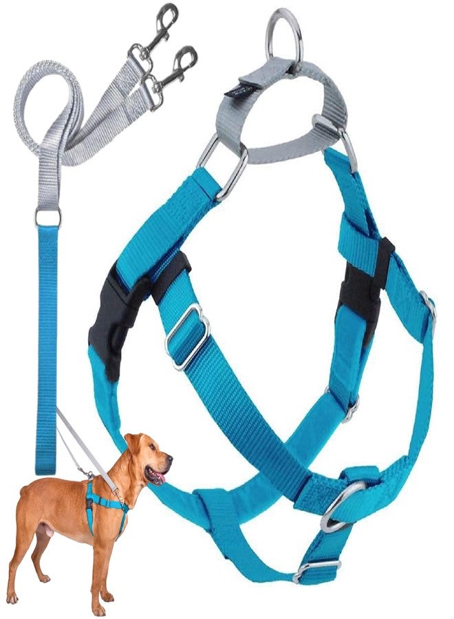 2 Hounds Design Freedom No Pull Dog Harness, Adjustable Harness and Leash Set, Easy Walking & Comfortable Control, Fits Small, Medium & Large Dogs, Solid Colors, Made in USA, 1" XL, Turquoise - Image 1