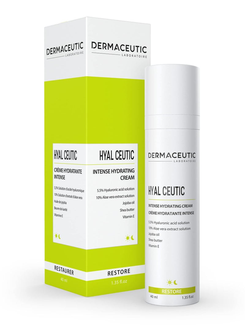 Dermaceutic - Dermaceutic Hyal Ceutic Intense Moisturizer 40 ml - Image 1