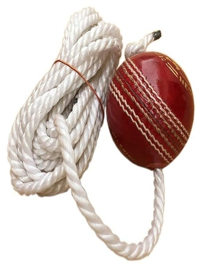 STEFFER Leather Cricket Shot Practice Hanging Ball, String Cricket Ball and Knocking Cricket Ball with Rope (Multi-Color) (Pack of 1) - Image 3
