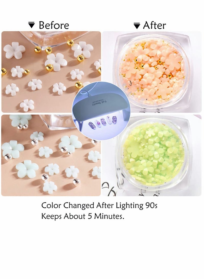 SYOSI 10 Boxes 3D Flower Nail Art Decorations, Light Changing Nail Art Decals and Symphony Colors Mixed Henna for Ladies and Girls Diy Charm Elegant Nail Art Decorations - Image 4