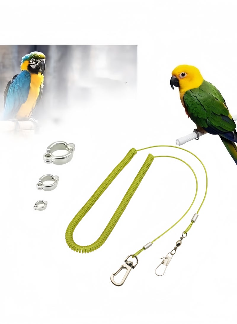 حبل طيران للطيور، حبل طيران للببغاء، حبل مرن لتدريب الطيور للاستخدام الخارجي، حبل تدريب للطيور الأليفة مناسب للببغاء القرمزي، والببغاء الكيك، والببغاء المكاو والطيور من نفس الحجم، بطول 6 أمتار مع 3 حلقات قدم للببغاء - Image 2