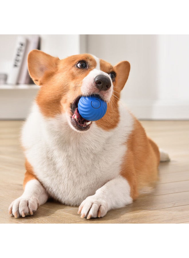 Petgravity Orange Bouncy Ball, Dog Toy, Durable Chew Toy, Automatic Interactive Dog Toy, Self-entertaining Boredom Relief Toy - Image 5