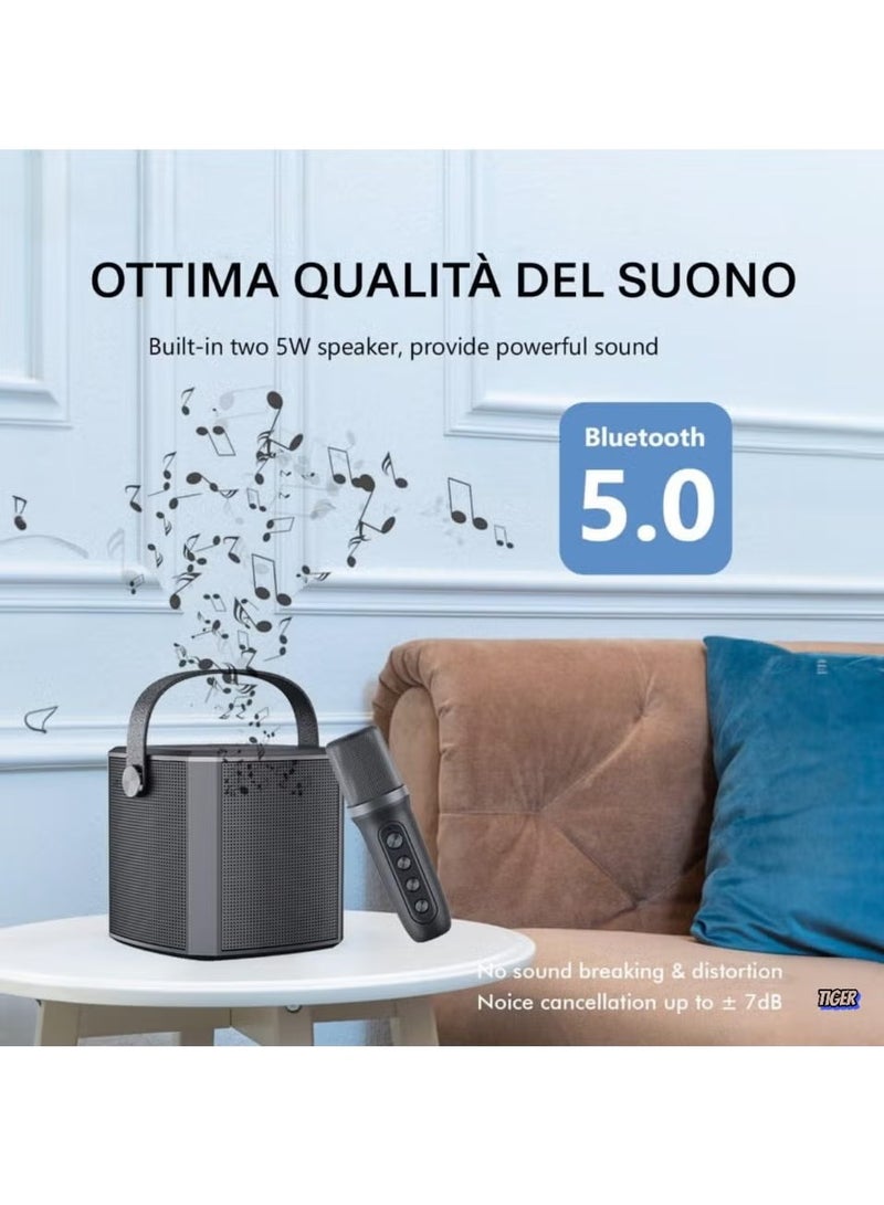 TIGER Portable Bluetooth Karaoke Speaker with Rechargeable Wireless Microphone – Multiple Voice Modes, Type-C Charging, TF Card Support, Perfect for Karaoke Parties, Home Entertainment & Events (Black) - Image 2