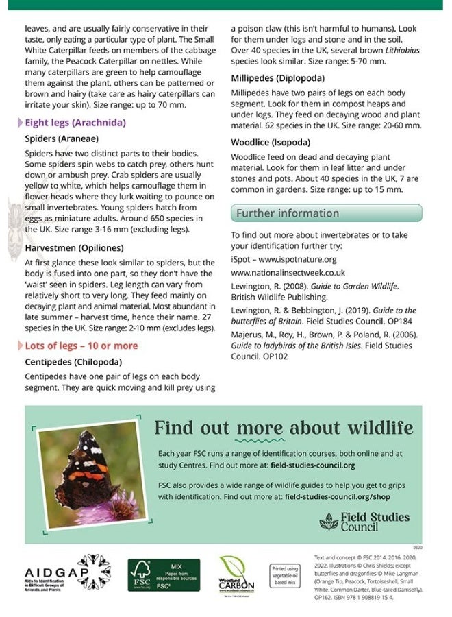 Garden Bugs and Beasties  - Image 3