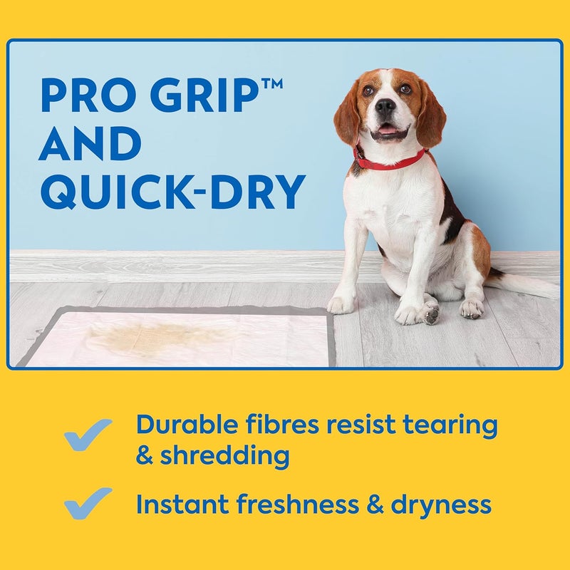 OUT Petcare Puppy Pads XXL Heavy Duty Leak Proof Pee Pads for Dogs Potty Training  Housebreaking Puppy Essentials 26x30 30 Count - Image 5