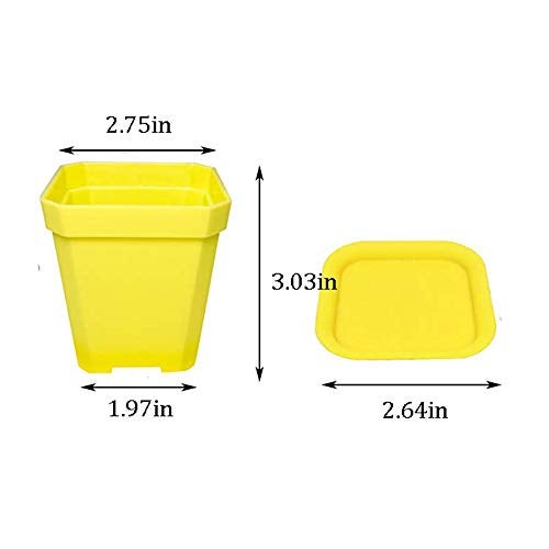 Anyumocz 24 Pack 3inch Multi Color Square Plastic Plant Pots,Seedling Nursery Transplanting Planter Container Indoor Outdoor for Your Room,Garden Office and Balcony Decor - Image 2
