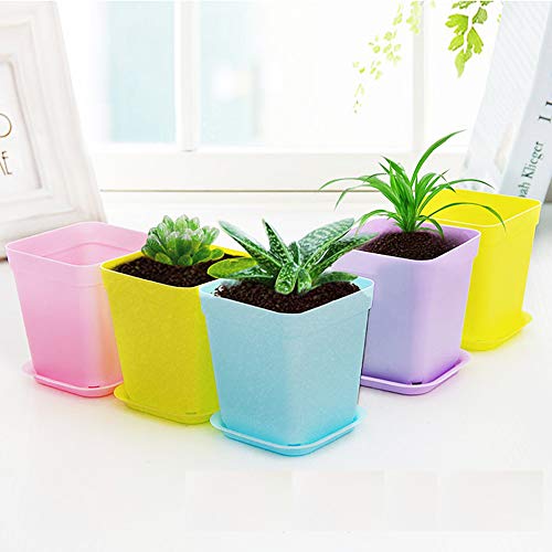Anyumocz 24 Pack 3inch Multi Color Square Plastic Plant Pots,Seedling Nursery Transplanting Planter Container Indoor Outdoor for Your Room,Garden Office and Balcony Decor - Image 4