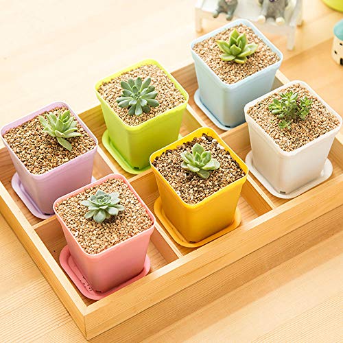 Anyumocz 24 Pack 3inch Multi Color Square Plastic Plant Pots,Seedling Nursery Transplanting Planter Container Indoor Outdoor for Your Room,Garden Office and Balcony Decor - Image 5