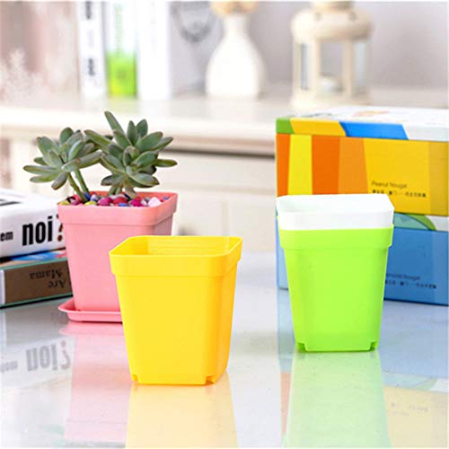 Anyumocz 24 Pack 3inch Multi Color Square Plastic Plant Pots,Seedling Nursery Transplanting Planter Container Indoor Outdoor for Your Room,Garden Office and Balcony Decor - Image 3