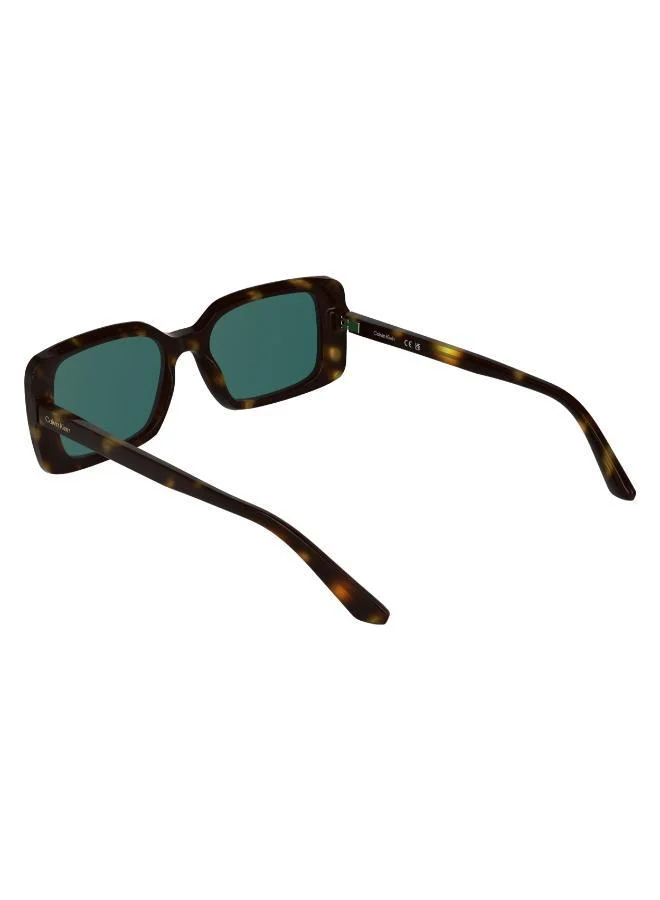 Calvin Klein  Rectangle Sunglasses for Women | Best Price UAE