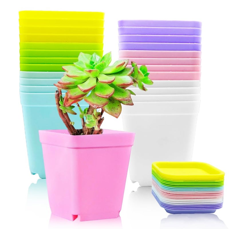 Haawooky 24 Pack Colorful Flower Pots Square Plastic Plant Pots Succulent Planter Nursery Pots with Saucers for Your RoomGarden Office and Balcony Decor