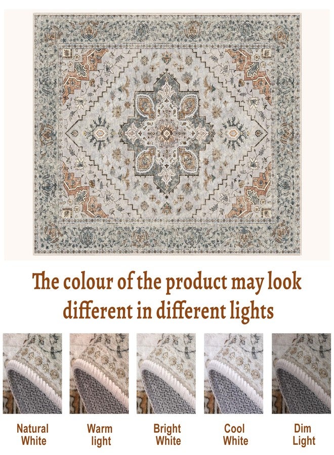 Tangsoo Vintage Small Washable Rugs for Entryway, 2x3 Rug Non Slip Grey Rug Throw Accent Indoor Front Door Distressed Door Mat, Soft Low Pile Area Rugs for Entrance Kitchen Bathroom - Image 2