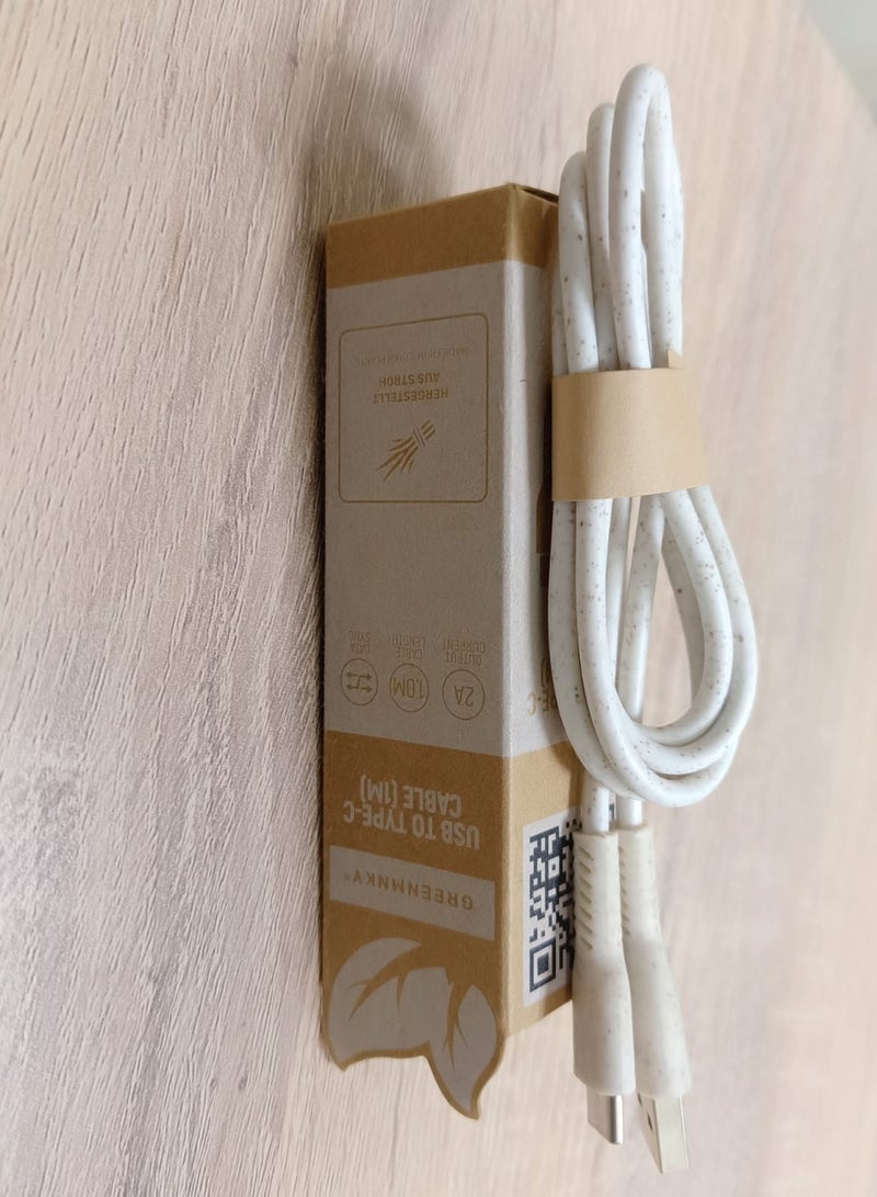 GREENMNKY USB to Type- C Cable 1M - Image 1
