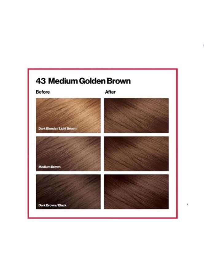 ريفلون صبغة شعر كولورسيلك، بني ذهبي متوسط ​​[43] - Image 2