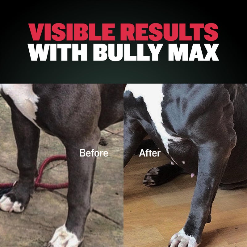 Bully Max 3-in-1 Liquid Dog Muscle Builder Supplement for Puppy and Adults Dogs - Dog Vitamins for Small & Large Breeds - Vet-Approved Canine Dog Supplement for Muscle Gain & Energy - Image 2