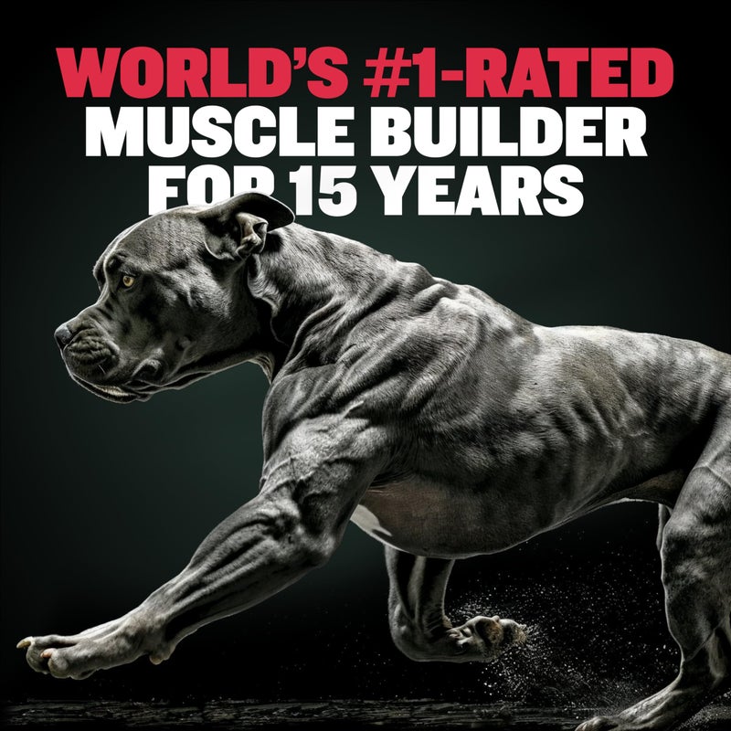 Bully Max 3-in-1 Liquid Dog Muscle Builder Supplement for Puppy and Adults Dogs - Dog Vitamins for Small & Large Breeds - Vet-Approved Canine Dog Supplement for Muscle Gain & Energy - Image 3