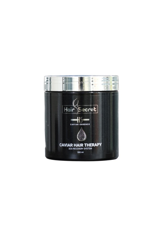 اتش اس مجموعة نظام استعادة الشعر الفاخر بالكافيار - سر الشعر - Image 5