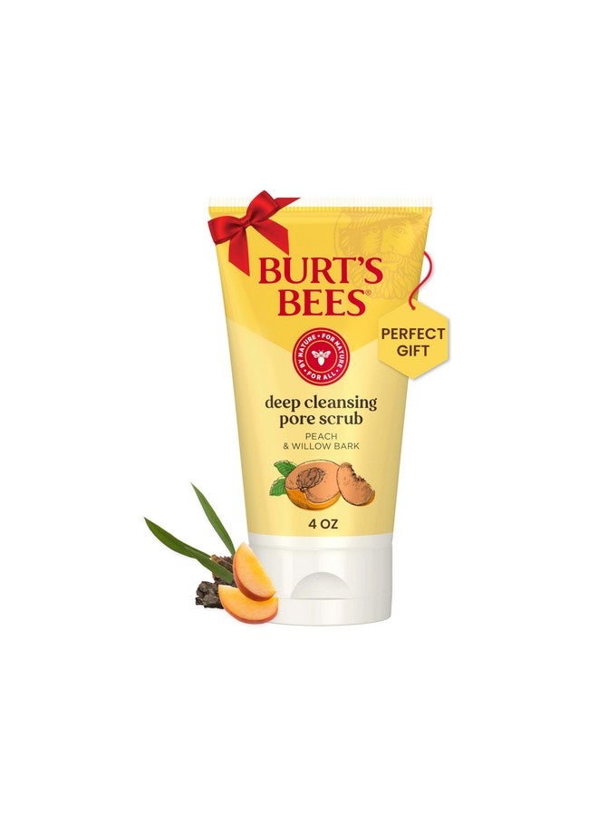 Burt's Bees Deep Cleansing Pore Scrub with Peach and Willow Bark, 4 Ounces - Image 1