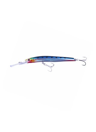 Sardine