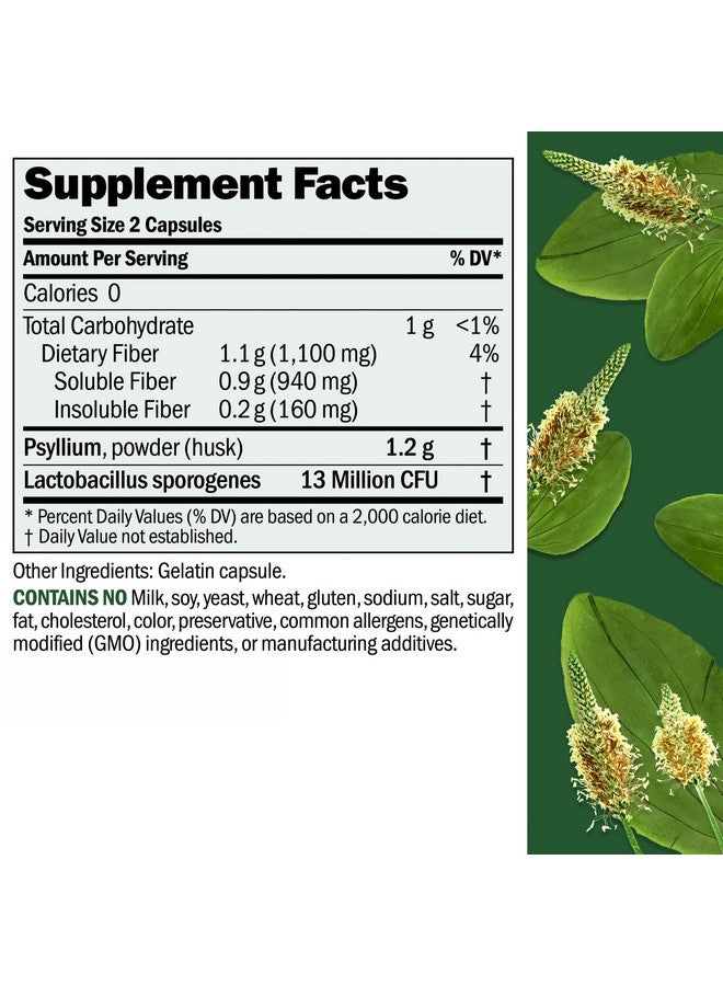 ANDREW LESSMAN Fibermucil 60 Capsules -Psyllium Husk Powder. Gently Promotes Regularity and Digestive Health. Rich in Fiber. Gentle, Easy, Effective. No Additives. Small Easy to Swallow Capsules - Image 2