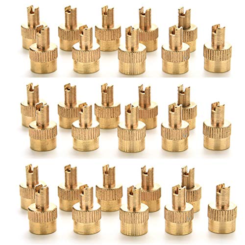 CosCosX 100 Pcs Metal Slotted Slot Valve Caps with Valve Core Remover,Tire Valve Air Dust Cover Stem Cap Tyre Valve Caps Universal Tire Stem Covers for Cars,Trucks,Motorcycle,Bicycle,Tire Dust Cap - Image 1