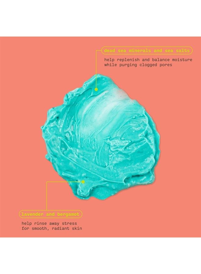 Freeman قناع الوجه الطيني المضاد للتوتر من معادن البحر الأحمر، مرطب وموضح، ينظف المسام، قناع وجه مع اللافندر والبرغموت لبشرة متألقة، لجميع أنواع البشرة، 6 أونصة سائلة/175 مل أنبوب - Image 3