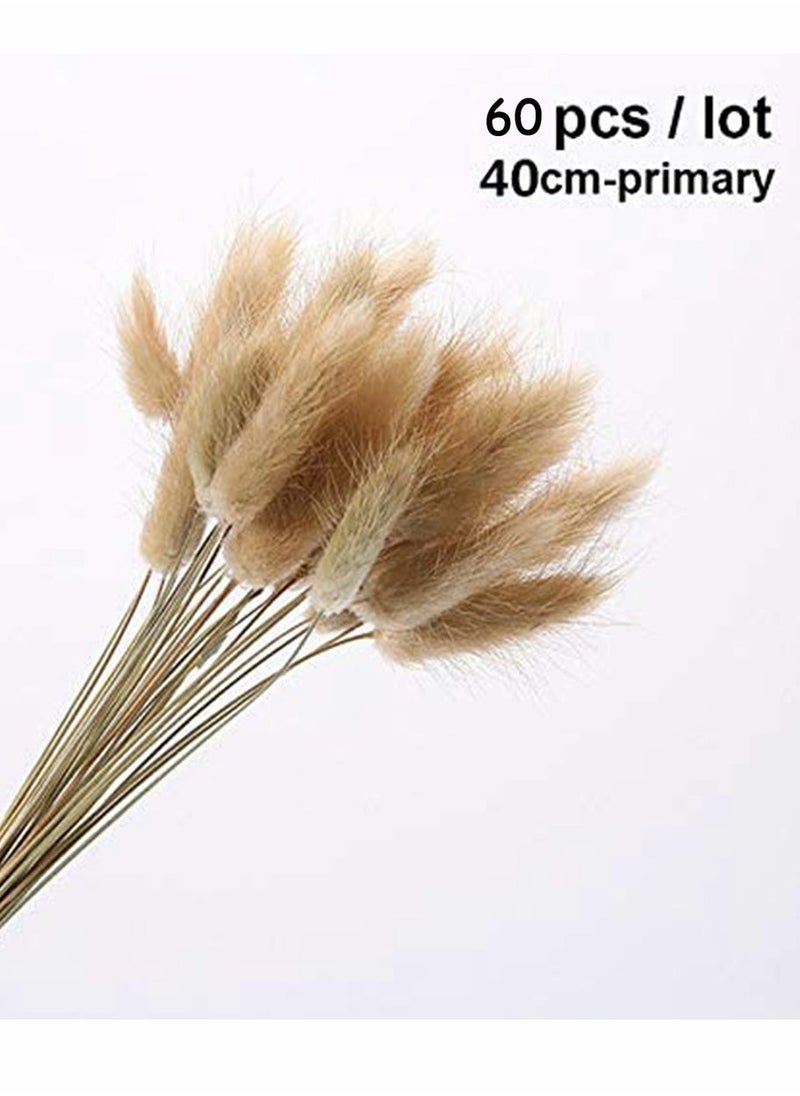 Dried Rabbit Tail Grass,  60 Pcs Natural Dry Grass Dried Flowers Bouquet, Wedding Dry Flower Bunch, for Home Garden Party Decor, Flower Arrangement - Image 4