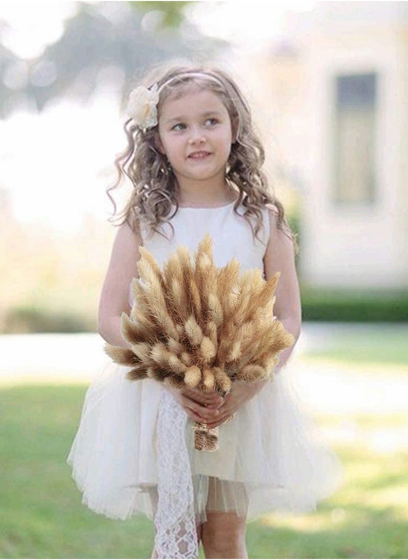 Dried Rabbit Tail Grass,  60 Pcs Natural Dry Grass Dried Flowers Bouquet, Wedding Dry Flower Bunch, for Home Garden Party Decor, Flower Arrangement - Image 3
