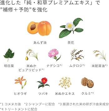 Ichikami Dense W Moisturizing Care Hair Shampoo Pump 480ml - Image 5