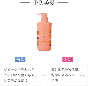 Ichikami Dense W Moisturizing Care Hair Shampoo Pump 480ml - Image 4