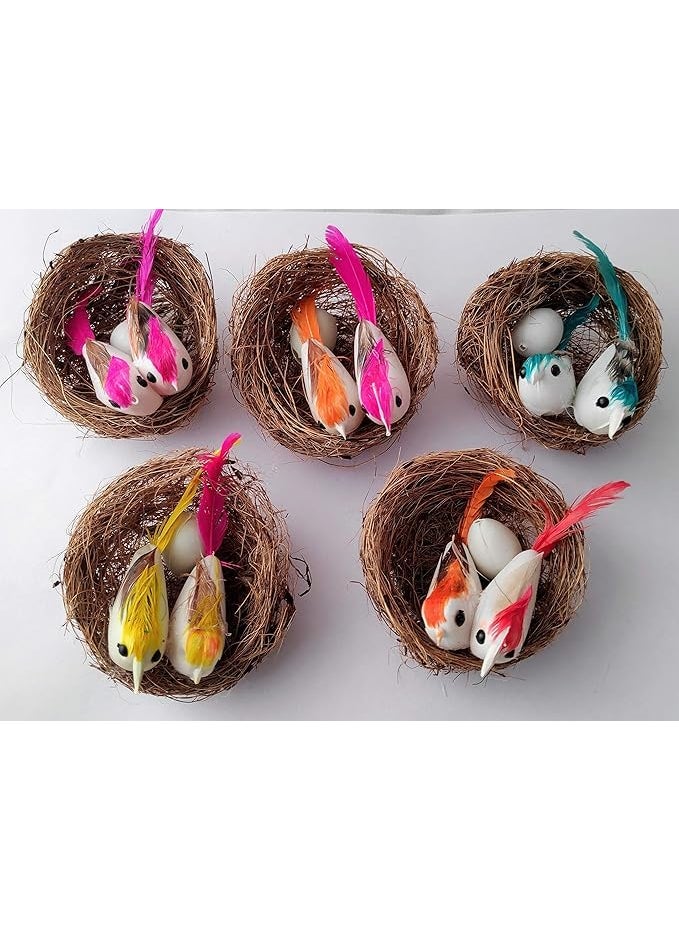 Generic Decorative Mini Birds with Nests Set 5 Pieces Multicolour Plastic Birds for DIY Crafts and School Projects  - Image 1