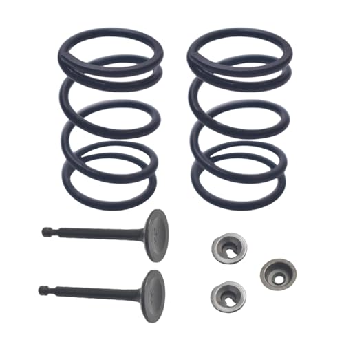 BUHNSS 22lb Valve Spring Kit With Retainer And Lock For Predator 196cc 212cc 224cc Non Himi 55HP 65HP For Honda GX200 GX160 OHV Clone Engine 208cc For Tillotson go kart OHV racing motor engine - Image 1
