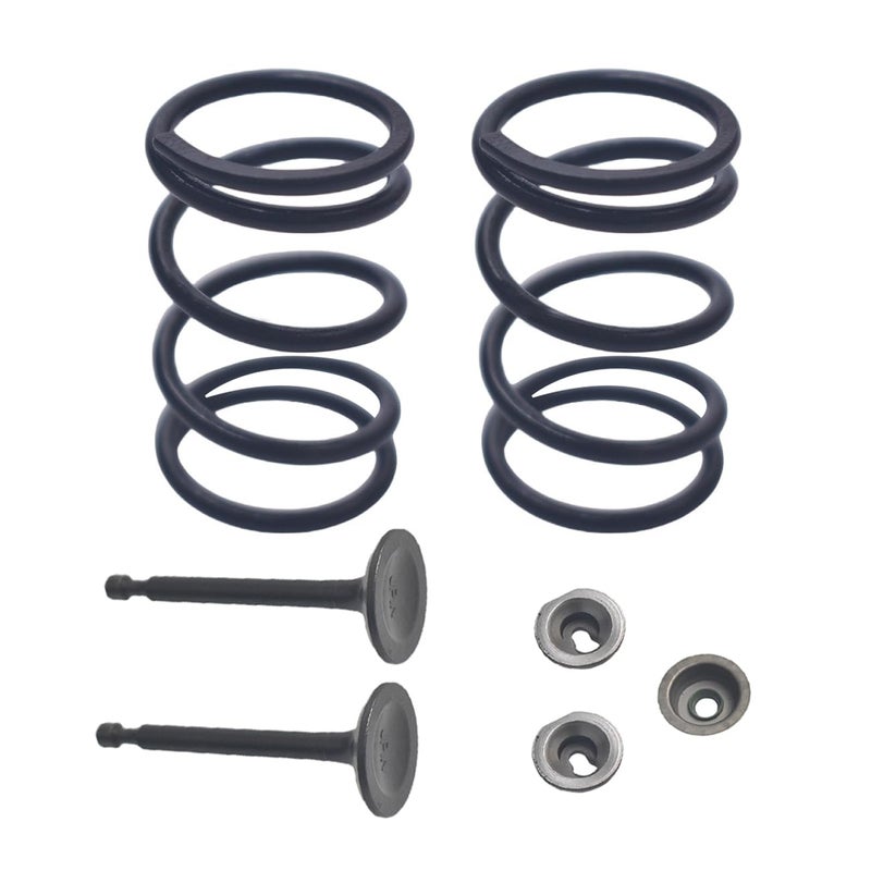 BUHNSS 22lb Valve Spring Kit With Retainer And Lock For Predator 196cc 212cc 224cc Non Himi 55HP 65HP For Honda GX200 GX160 OHV Clone Engine 208cc For Tillotson go kart OHV racing motor engine - Image 3