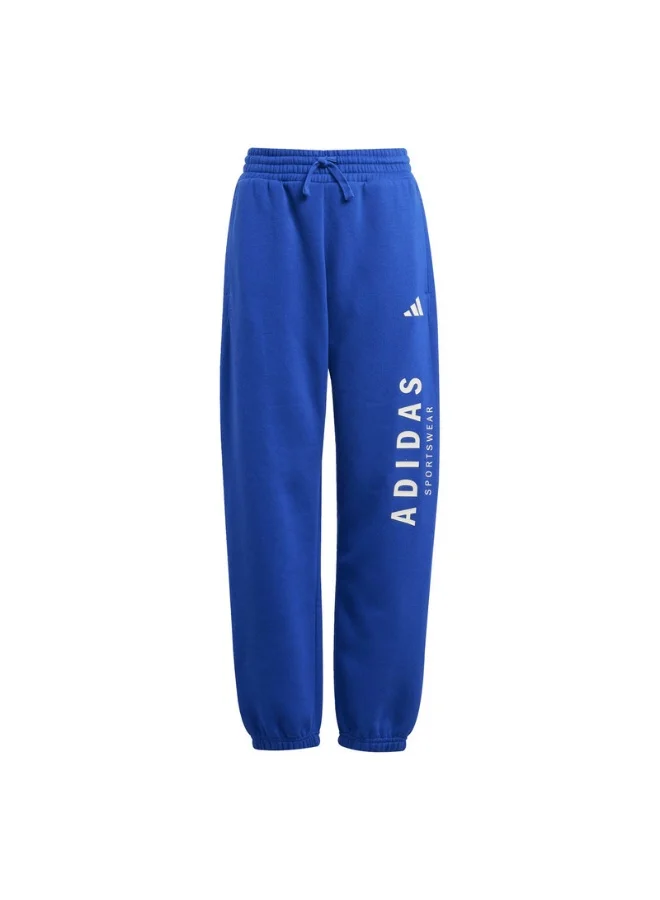 adidas Originals j all szn gfx unisex pants