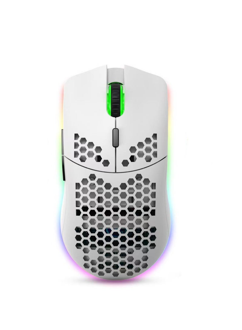 Gaming Mouse,Gaming Mice Honeycomb Hollow Design Ergonomic Wired Mouse with RGB Backlight,up to 8000 DPI,RGB Gaming Mouse for Mac, Laptop,Computer,PC