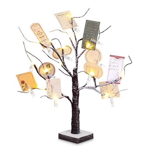 Coume Money Tree Gift Card Holder 1.5 ft Tabletop Display Tree with 72 LED Lights 15 Clear Clips Silver Display Birch Twig for Money Wedding Card Photo Birthday Fall Thanksgiving Halloween Christmas - Image 1