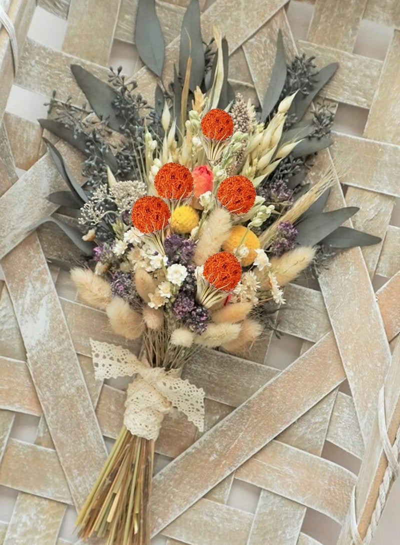 SOLARAE Fall Dried Flower, 40pcs Craspedia Billy Button Balls Flowers Orange Dried Flowers Bulk for Autumn Home Vase Kitchen DIY Wedding Table Decor - Image 4