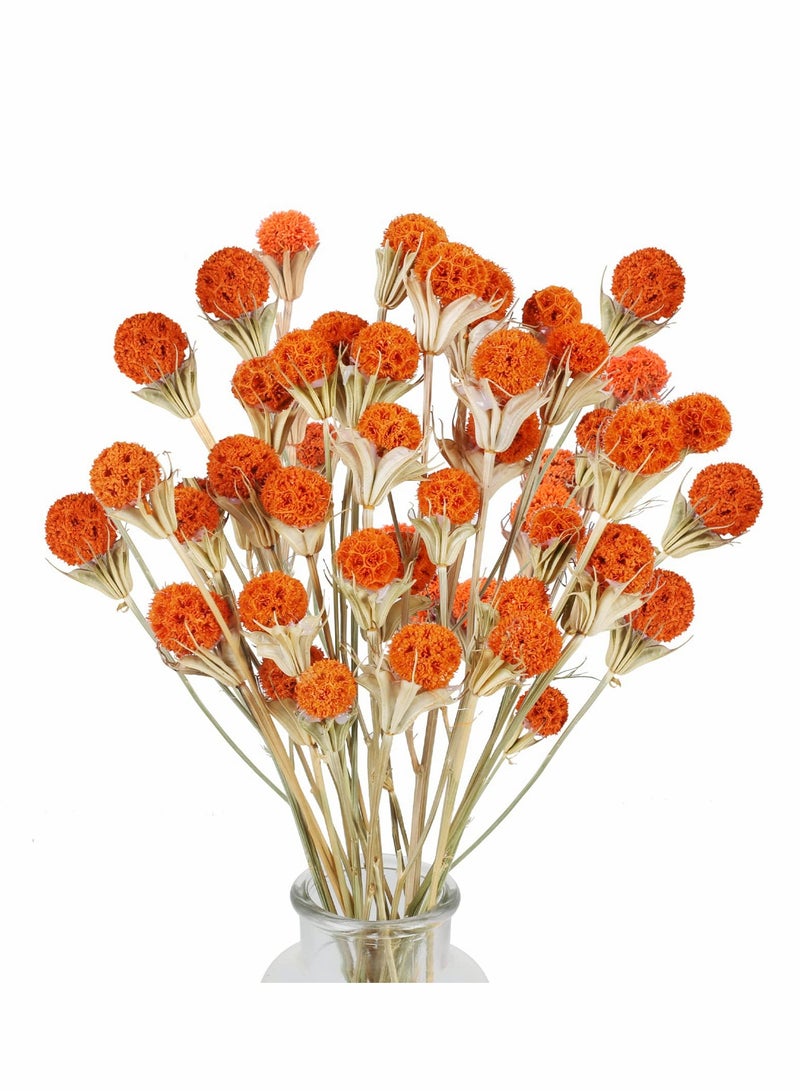 SOLARAE Fall Dried Flower, 40pcs Craspedia Billy Button Balls Flowers Orange Dried Flowers Bulk for Autumn Home Vase Kitchen DIY Wedding Table Decor - Image 1