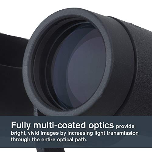 Celestron – TrailSeeker 8x42 Binoculars – Fully Multi-Coated Optics – Binoculars for Adults – Phase and Dielectric Coated BaK-4 Prisms – Waterproof & Fogproof – Rubber Armored – 6.5 Feet Close - Image 2