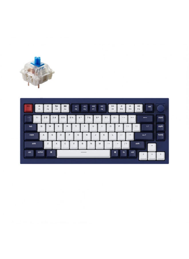 Q1-O2 QMK Gateron G-PRO Switch Mechanical RGB Keyboard, Knob, Blue Switch and Costom Hot-swappable - pzsku/Z5947CF4E9FED267FFD41Z/45/_/1694339371/fecc45f9-1e5d-4dcc-ba08-0d920ee6ac43