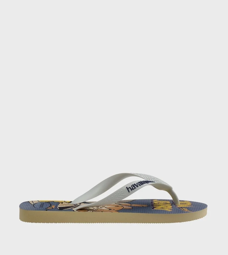 Havaianas Hav. Top Warner Classics