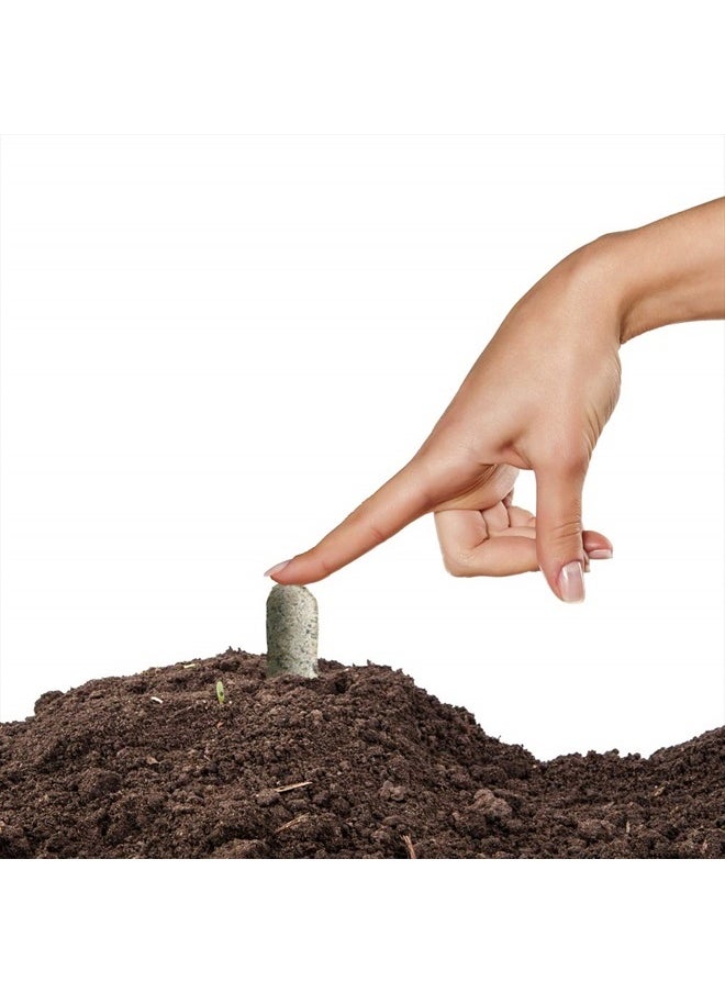 04101 Fertilizer Spikes, Azalea, Camellia, and Rhododendron, Includes 10 Spikes, 16 ounces, Brown