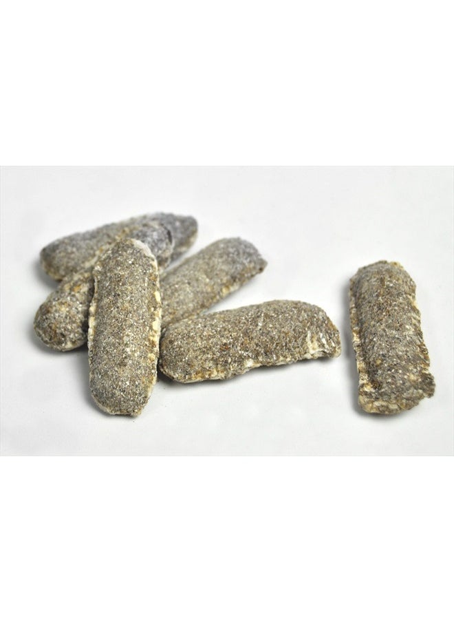 04101 Fertilizer Spikes, Azalea, Camellia, and Rhododendron, Includes 10 Spikes, 16 ounces, Brown