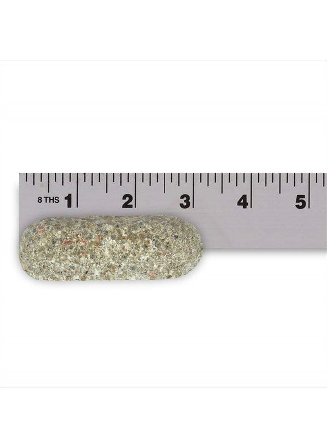 04101 Fertilizer Spikes, Azalea, Camellia, and Rhododendron, Includes 10 Spikes, 16 ounces, Brown