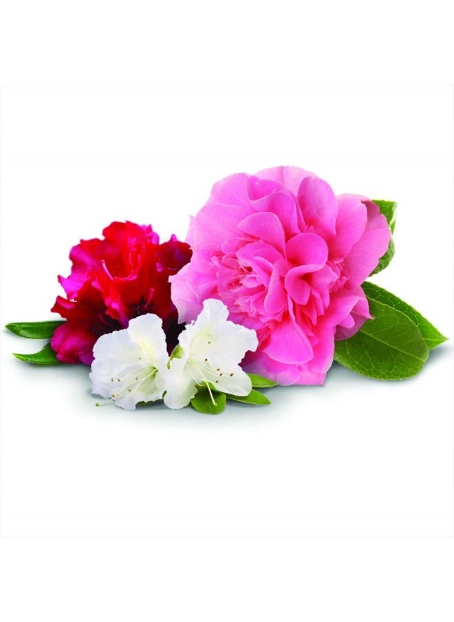 04101 Fertilizer Spikes, Azalea, Camellia, and Rhododendron, Includes 10 Spikes, 16 ounces, Brown